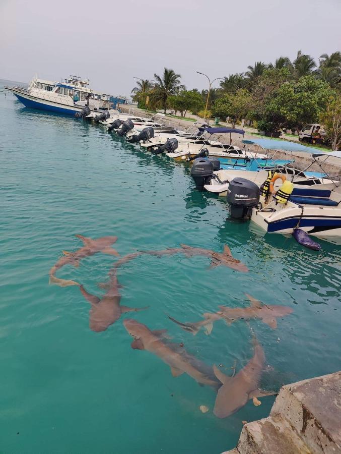 Rashuthere Maldives Rasdhoo Exteriér fotografie